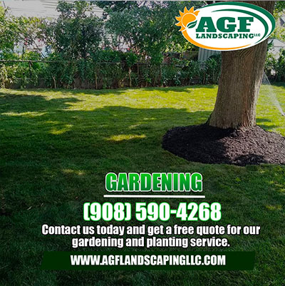 Gardening/Planting
